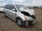 HONDA - ODYSSEY