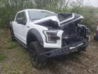 FORD - F-150