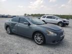 NISSAN - MAXIMA