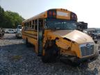 usados BLUEBIRD SCHOOL BUS