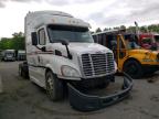 FREIGHTLINER - CASCADIA 1