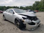 NISSAN - MAXIMA