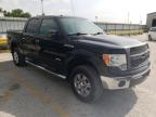 FORD - F-150