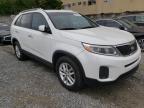 KIA - SORENTO