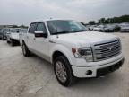 FORD - F-150
