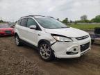 FORD - ESCAPE