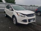 FORD - ESCAPE