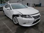 LEXUS - ES300