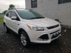 FORD - ESCAPE