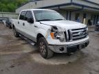 FORD - F-150