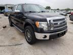 FORD - F-150