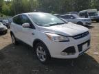 FORD - ESCAPE