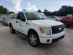 FORD - F150