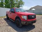 FORD - F-150