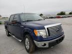 FORD - F-150