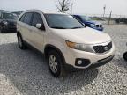 KIA - SORENTO