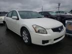 NISSAN - MAXIMA