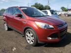 FORD - ESCAPE