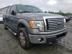 FORD - F-150