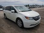 HONDA - ODYSSEY