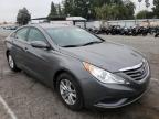 HYUNDAI - SONATA