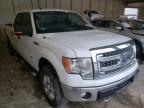 FORD - F-150