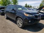 KIA - SORENTO