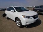 LEXUS - RX350