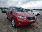 LEXUS - RX350