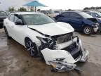 NISSAN - MAXIMA