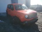 JEEP - RENEGADE