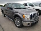 FORD - F-150