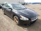 NISSAN - MAXIMA