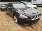 NISSAN - MAXIMA