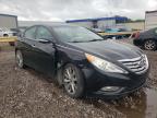 HYUNDAI - SONATA