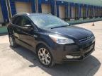 FORD - ESCAPE