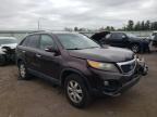 KIA - SORENTO