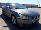 NISSAN - MAXIMA