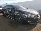 NISSAN - MAXIMA