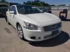 NISSAN - MAXIMA