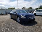 NISSAN - MAXIMA