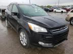 FORD - ESCAPE