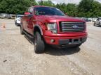 FORD - F-150