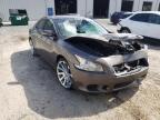 NISSAN - MAXIMA