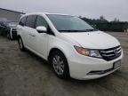 HONDA - ODYSSEY