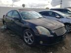 NISSAN - MAXIMA