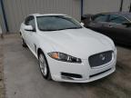 JAGUAR - XF