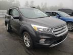 FORD - ESCAPE