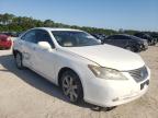 LEXUS - ES350