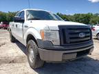 FORD - F-150